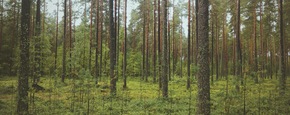 X6vezahrpqd8lczpaogc 2014 08 27 02.46.52 1