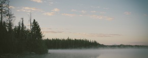 Uploads 1411589111646628d45fa 12f0a18c