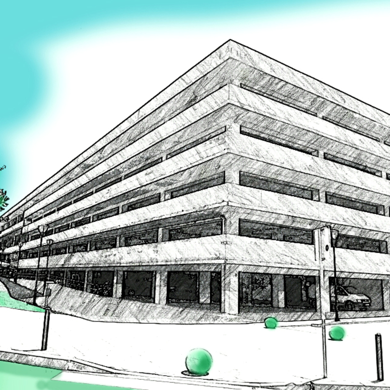 Josha bujarflorina (1)