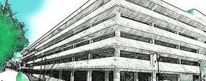 Josha bujarflorina (1)