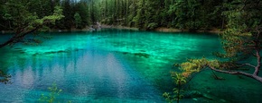 Al lago verde 1