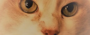 Img 20180128 122724