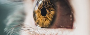 Pexels photo 2168356