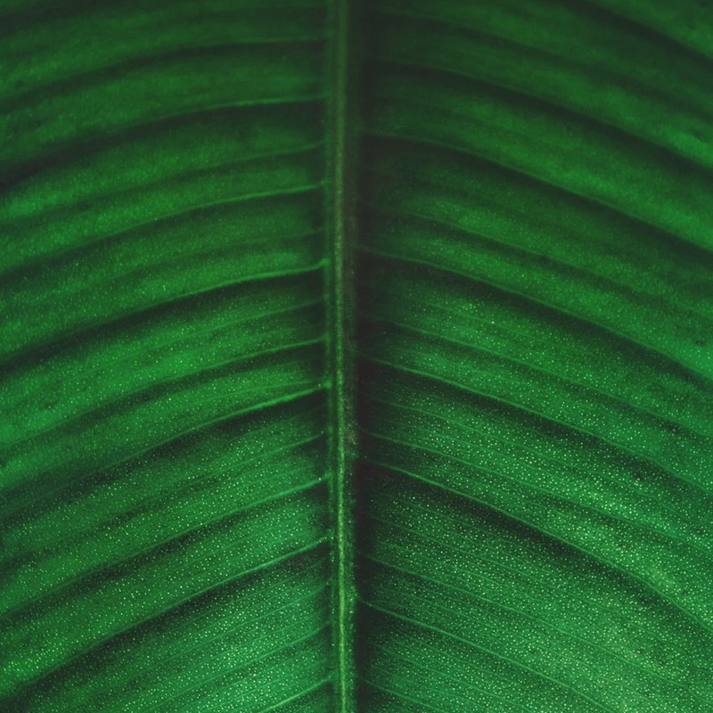 Pexels photo 825995
