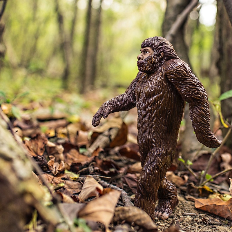 The end of evolution