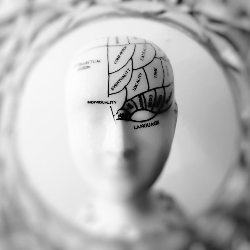 Cognitive brain