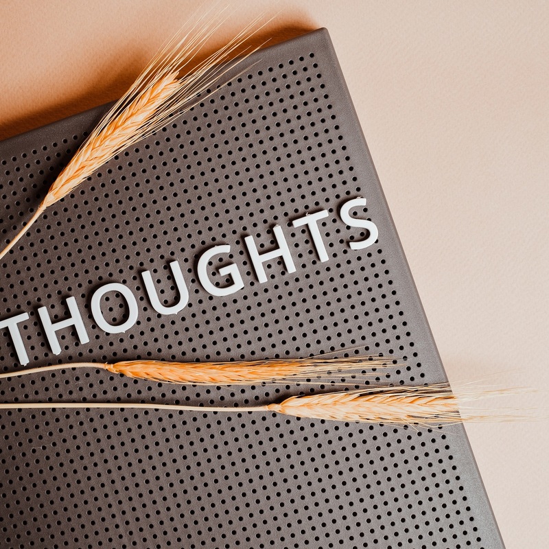 2023 06 thoughts