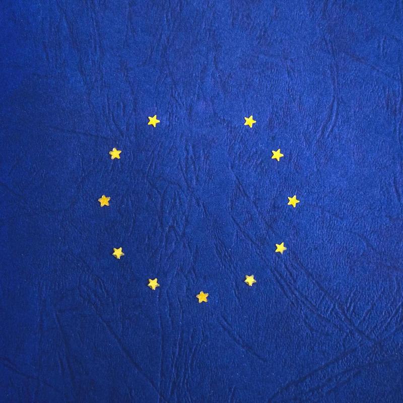 Eu blue book traineeship report