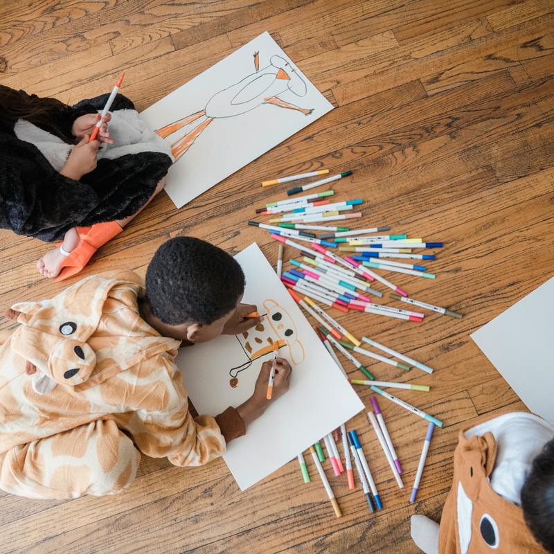 2025 09 animais  um tributo a%cc%80 amazo%cc%82nia  um projeto de imersa%cc%83o criativa em meio a um contexto de vulnerabilidade social ana clara solon rosa%cc%82ngela arau%cc%81jo darwich.pdf