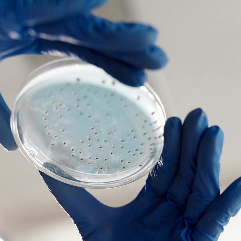 Pexels edward jenner 4031501